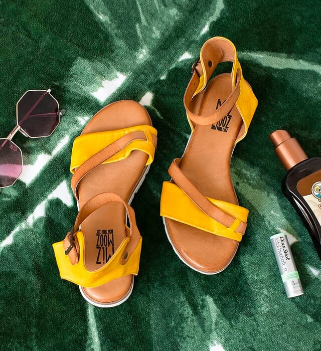 Dsw miz 2025 mooz